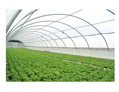 قیمت خرید نایلون گلخانه عرض 10 متر با فروش عمده